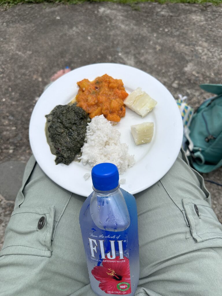 A traditional Fijian meal of rice, breadfruit, Kaddu and Rourou