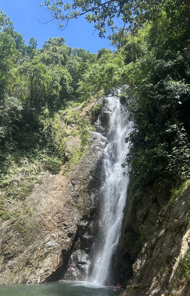 Navua waterfall