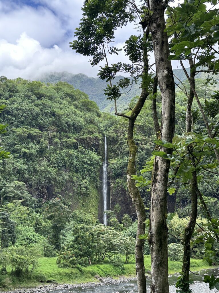 View of a waterfall in Papenoo Valley Tahiti