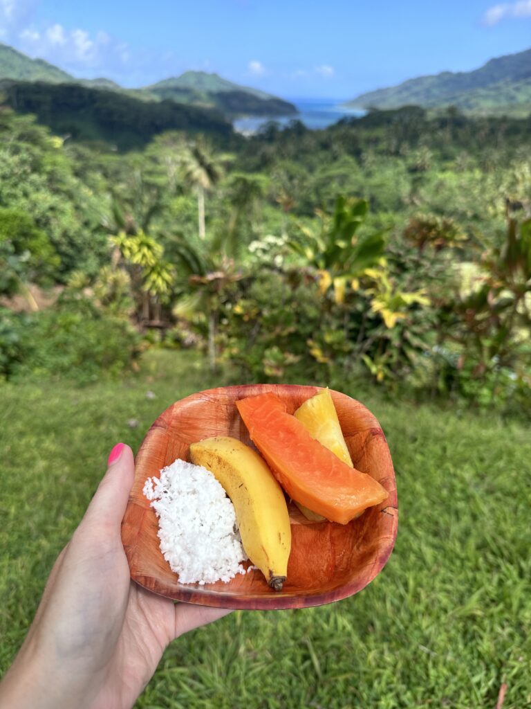 A bowl of tropical fruit overlooking a sea vista